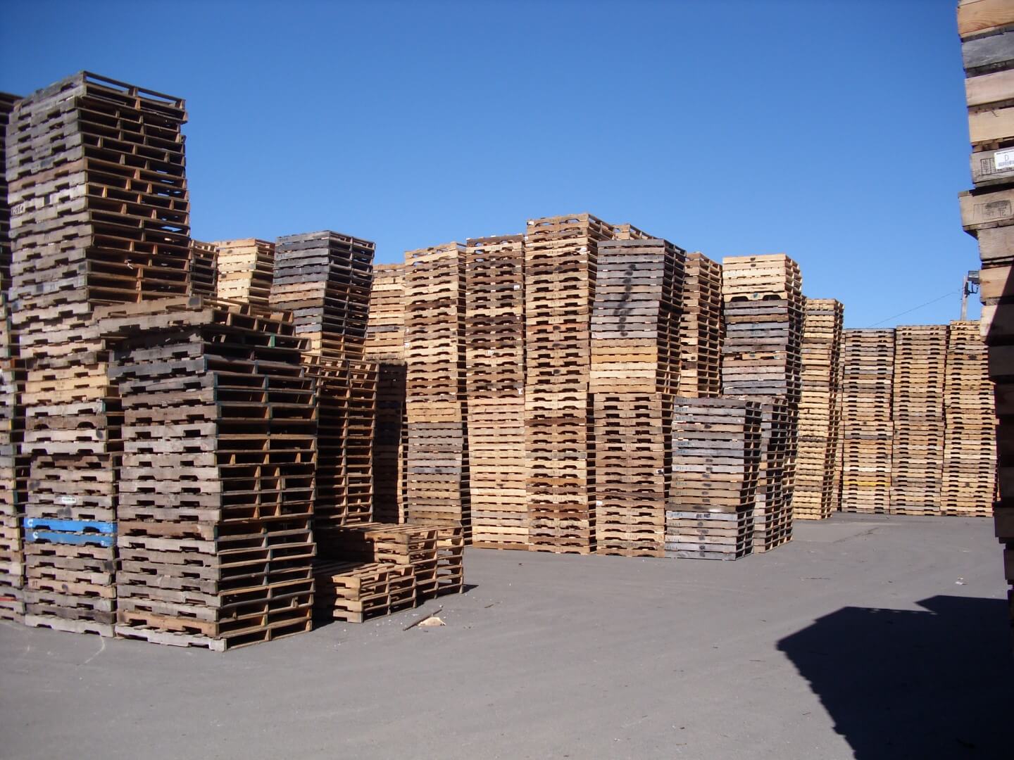 Miller Wood Specialties Stacked Pallets